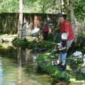 Fête de La Pêche 2010