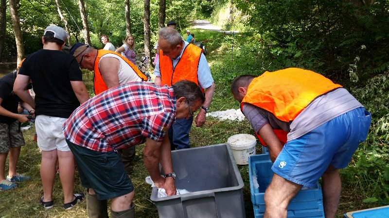 Fête de la Pêche samedi 27 Juin 2015