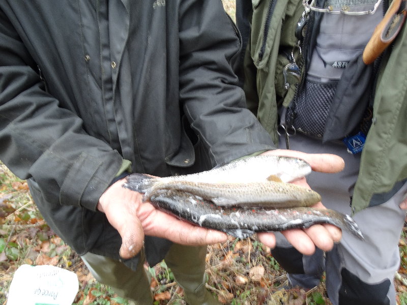 Ouverture pêche 2015