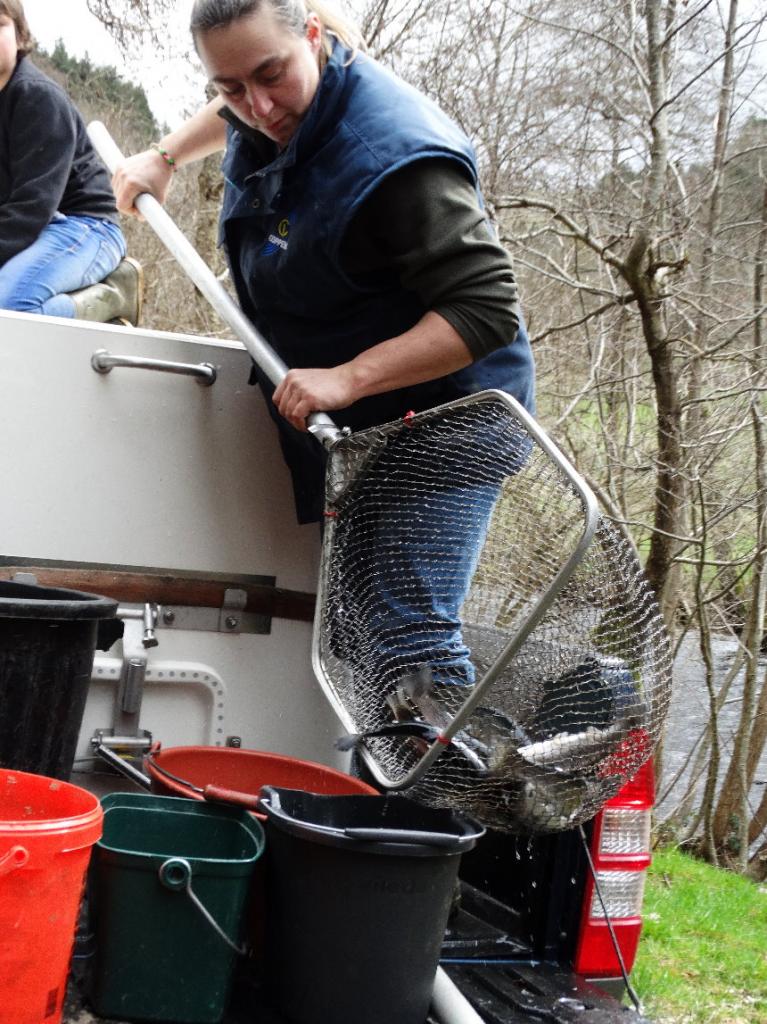 Après ouverture pêche 2015