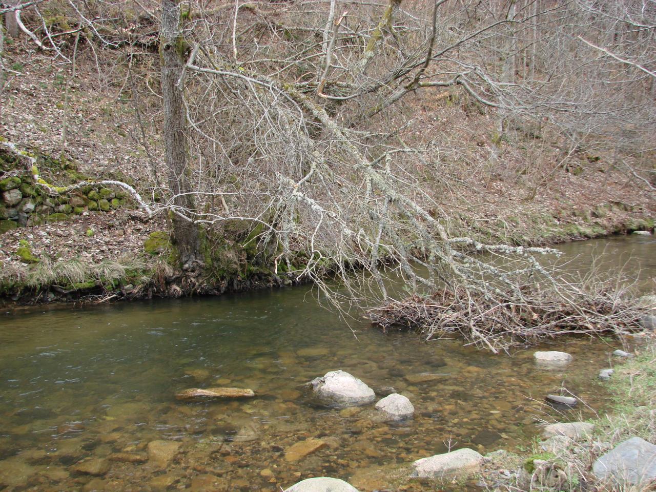 Nettoyage de rivière le 01 Mars 2014