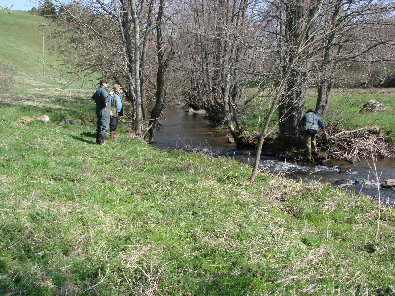 Nettoyage de l'Auze le 12 Avril 2014