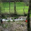 Alevinage 27 Avril 2014