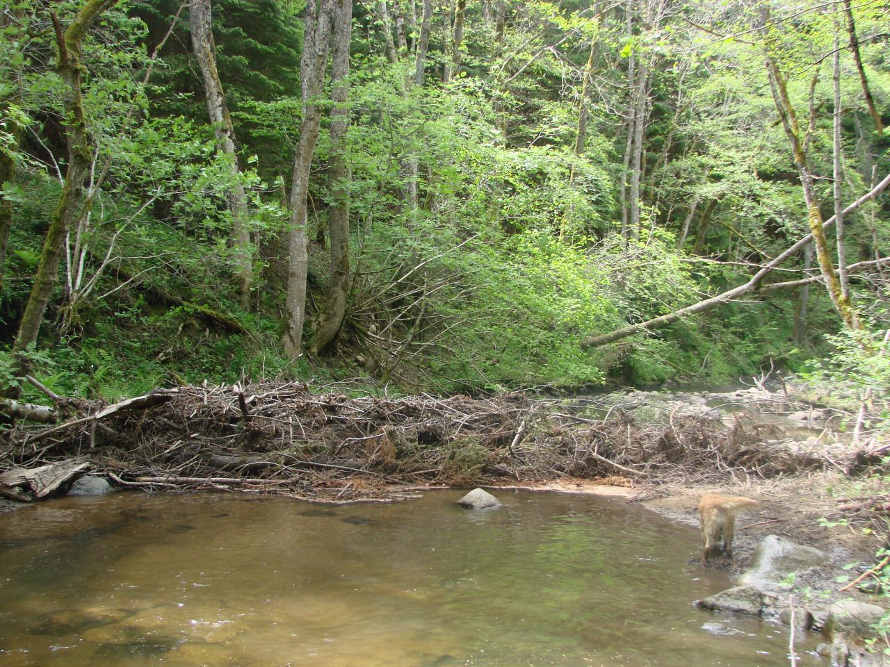 Visite technique de la rivière AUZE le 21/05/2014