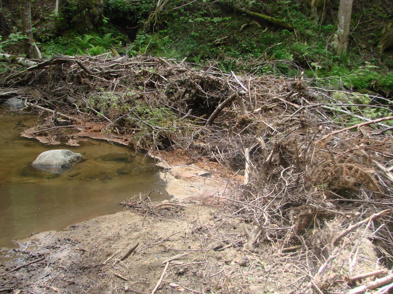 Visite technique de la rivière AUZE le 21/05/2014