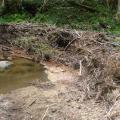 Visite technique de la rivière AUZE le 21/05/2014