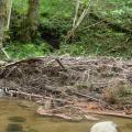 Visite technique de la rivière AUZE le 21/05/2014