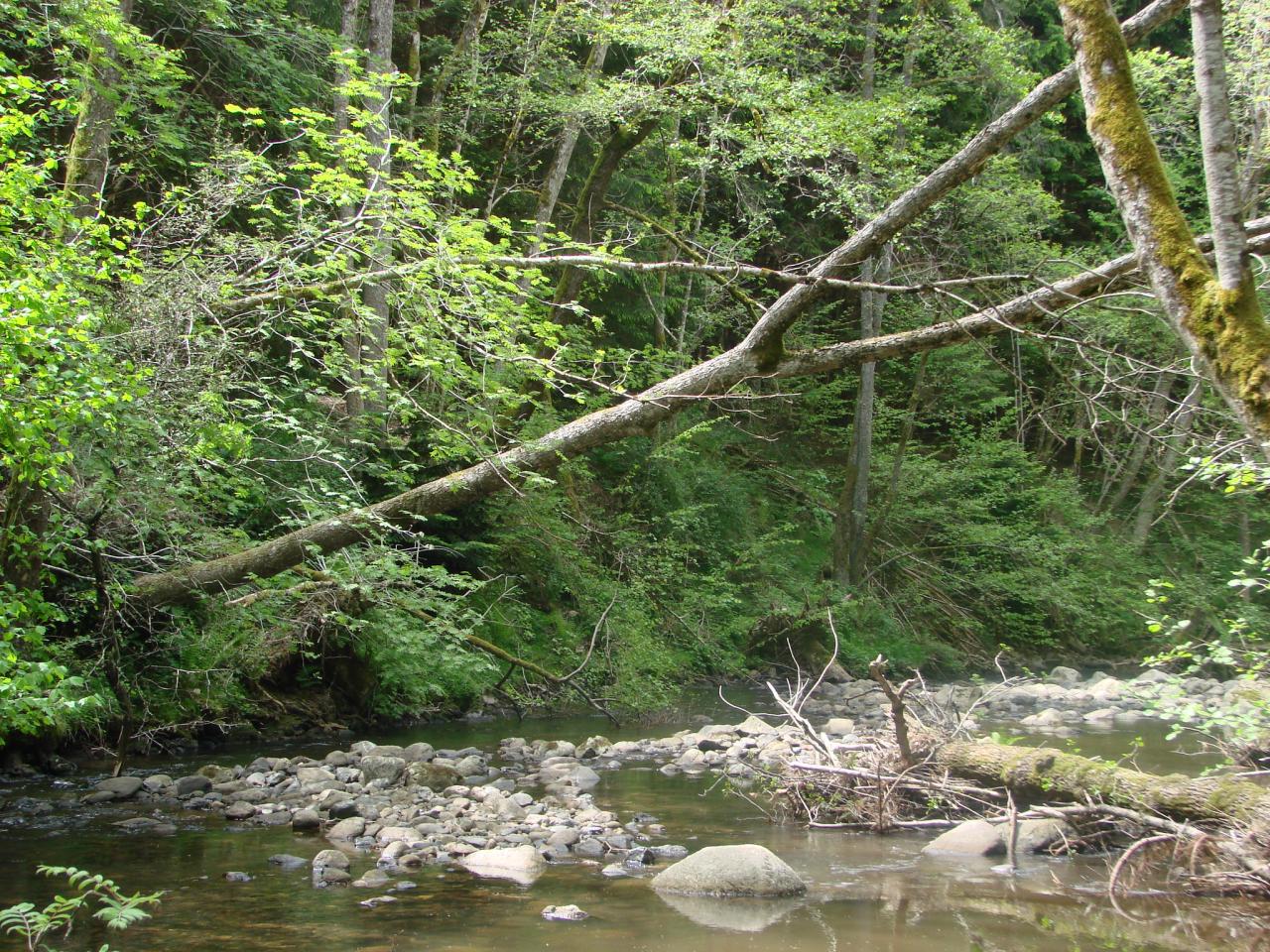 Visite technique de la rivière AUZE le 21/05/2014