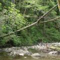 Visite technique de la rivière AUZE le 21/05/2014