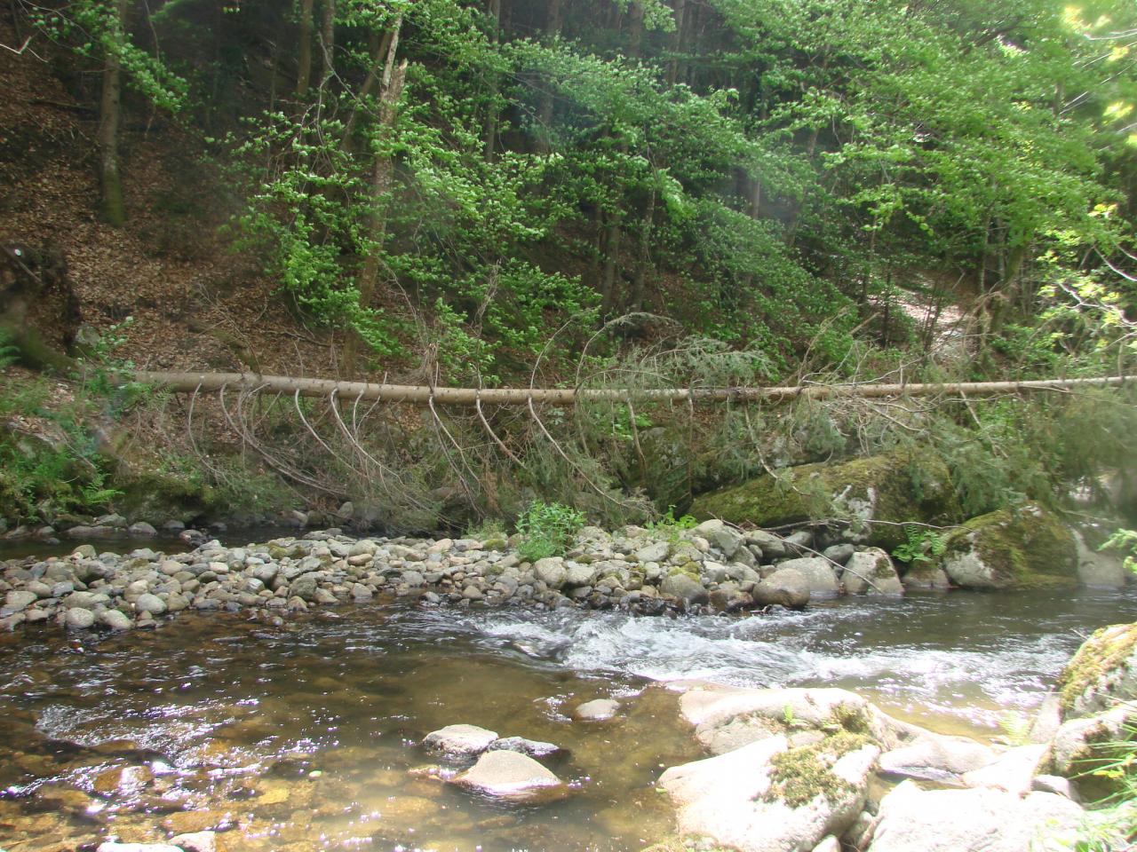 Visite technique de la rivière AUZE le 21/05/2014