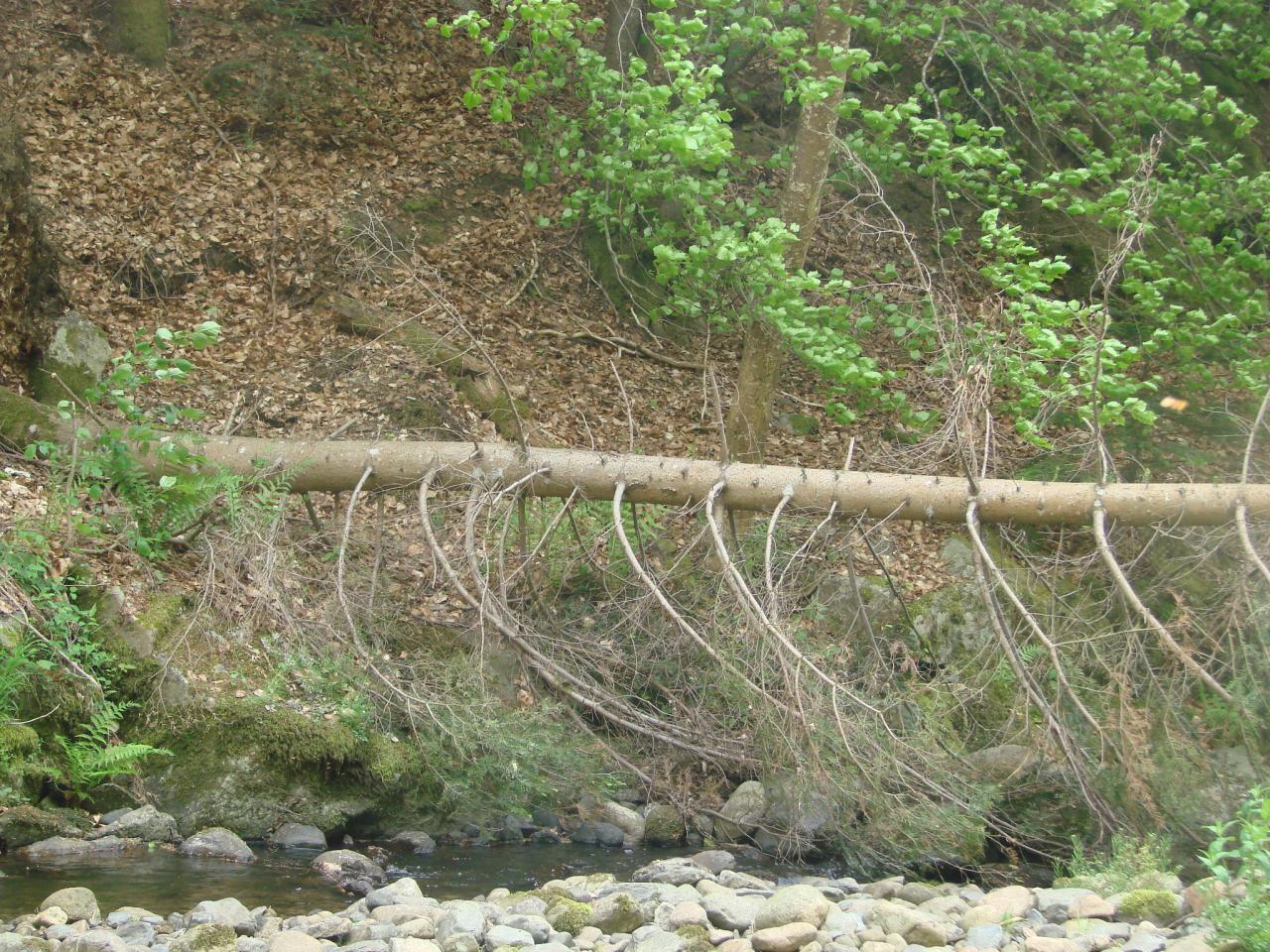 Visite technique de la rivière AUZE le 21/05/2014