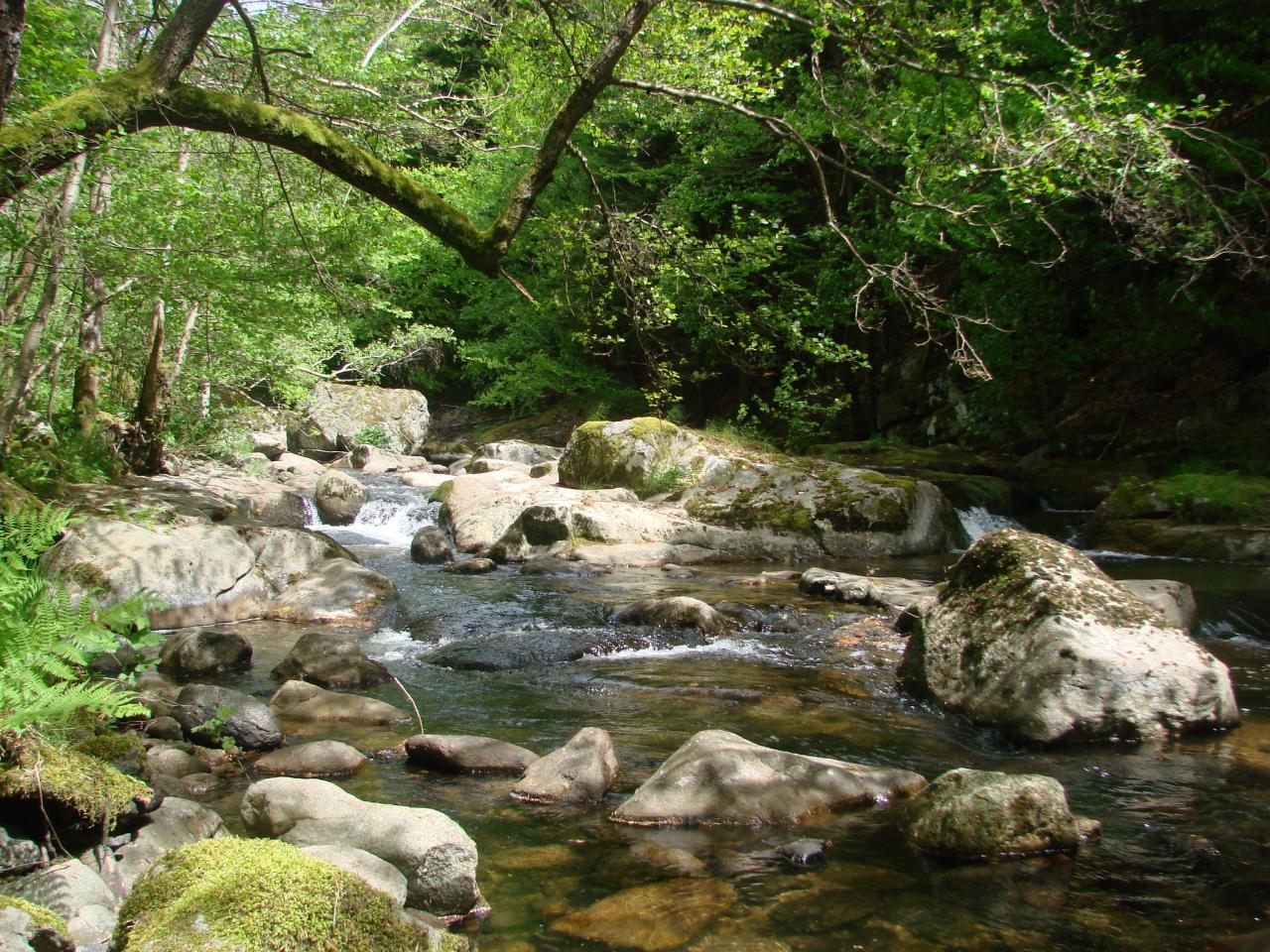 Visite technique de la rivière AUZE le 21/05/2014