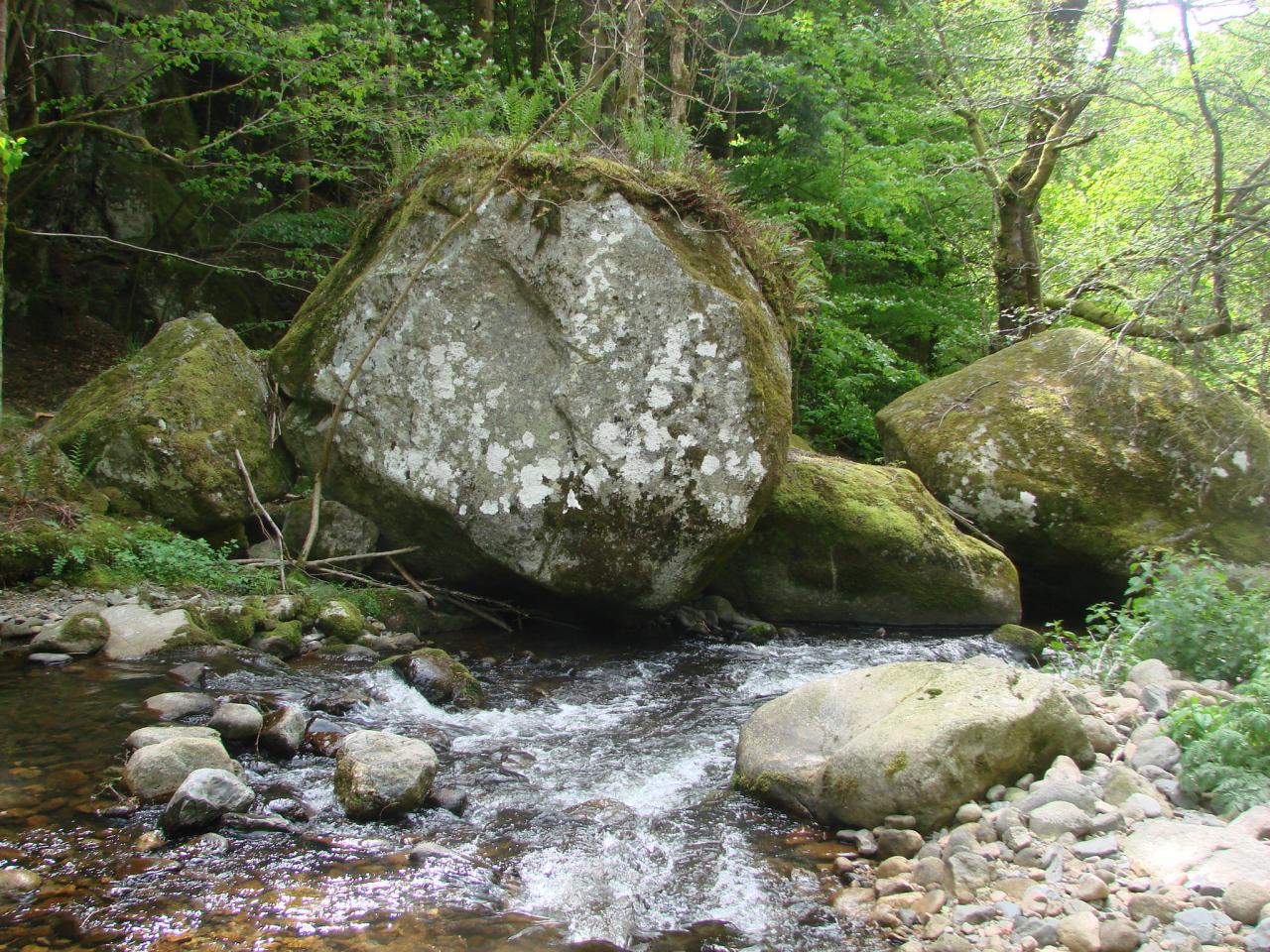 Visite technique de la rivière AUZE le 21/05/2014