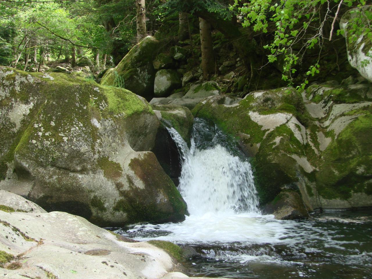 Visite technique de la rivière AUZE le 21/05/2014