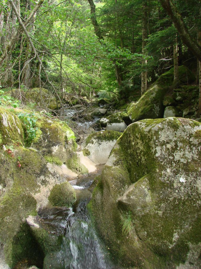 Visite technique de la rivière AUZE le 21/05/2014