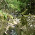 Visite technique de la rivière AUZE le 21/05/2014