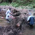 Nettoyage de l'Auze le 07 Juin 2014