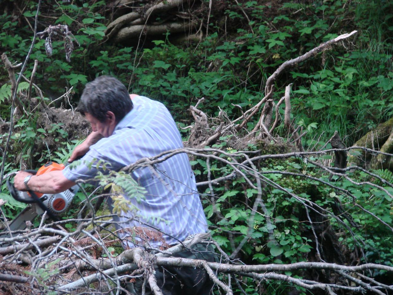 Nettoyage de l'Auze le 07 Juin 2014