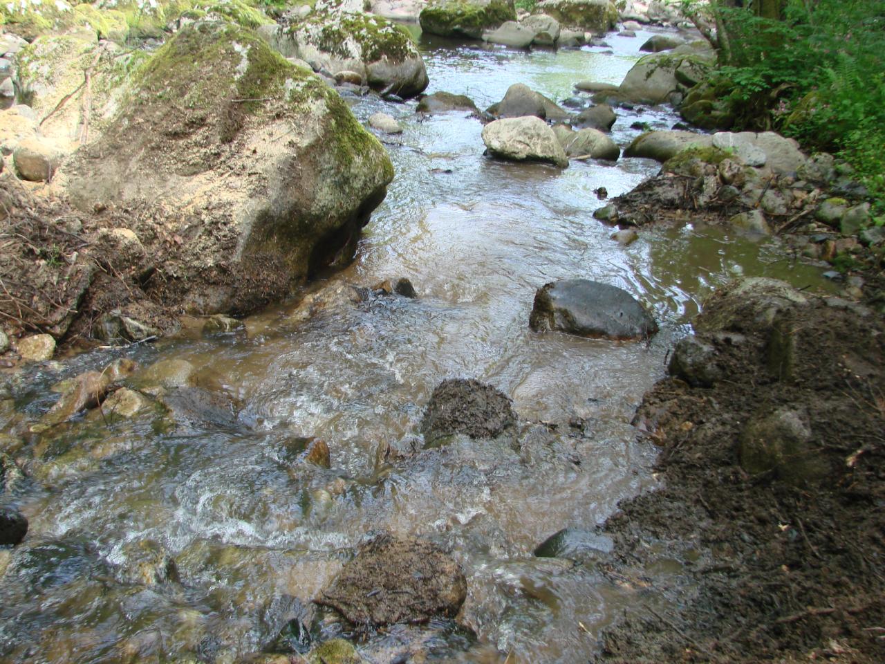 Nettoyage de l'Auze le 07 Juin 2014