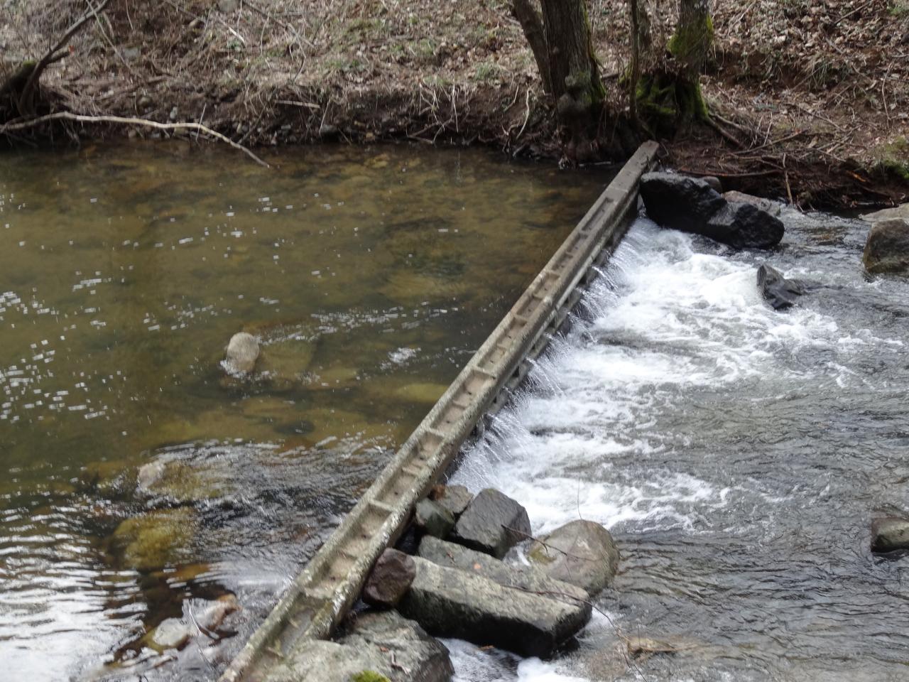 Nettoyage de rivière le 01 Mars 2014