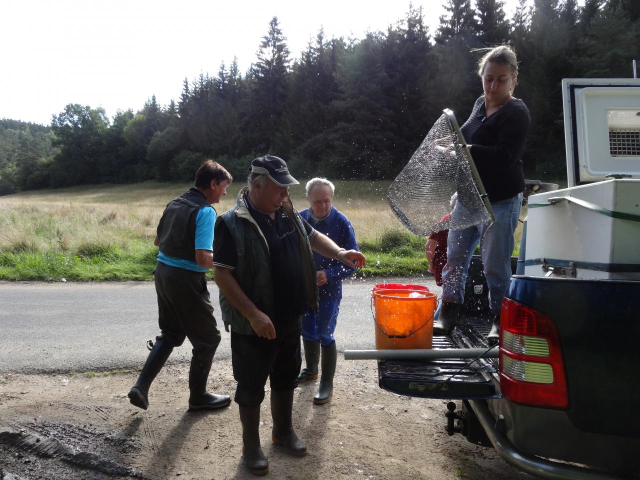 Alevinage touristique le 20 août 2014