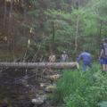 Nettoyage sur La Brossette le 06 Juin 2015